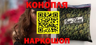 шишки Пенза